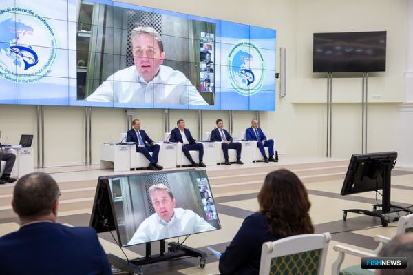 Ответить на вопросы о лососях поможет сотрудничество ученых