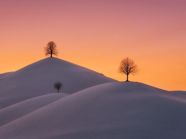 30 победителей Tokyo International Foto Awards 2020