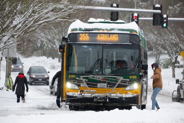 Примеры снимков на объектив Panasonic Lumix S 70-300mm F/4.5-5.6