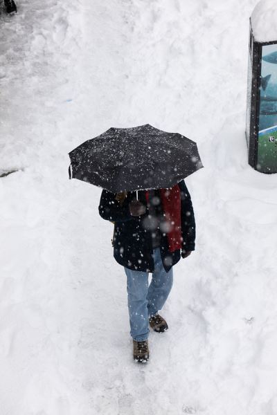 Примеры снимков на объектив Panasonic Lumix S 70-300mm F/4.5-5.6