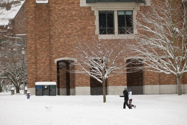 Примеры снимков на объектив Panasonic Lumix S 70-300mm F/4.5-5.6