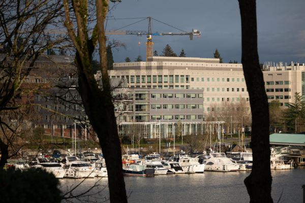 Примеры снимков на объектив Panasonic Lumix S 70-300mm F/4.5-5.6