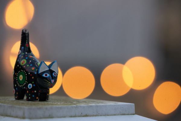 Примеры снимков на объектив Panasonic Lumix S 70-300mm F/4.5-5.6