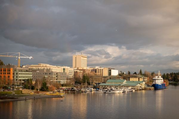 Примеры снимков на объектив Panasonic Lumix S 70-300mm F/4.5-5.6