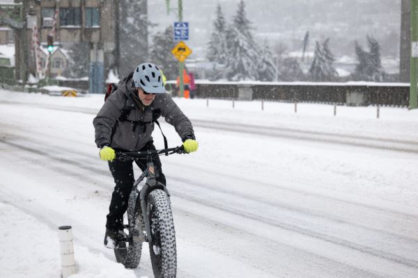 Примеры снимков на объектив Panasonic Lumix S 70-300mm F/4.5-5.6