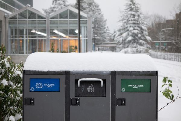 Примеры снимков на объектив Panasonic Lumix S 70-300mm F/4.5-5.6