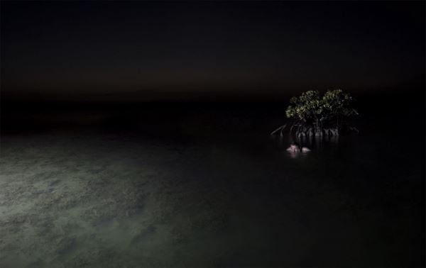 Мистическая фотография с претензией на искусство от фотохудожника Bear Kirkpatrick