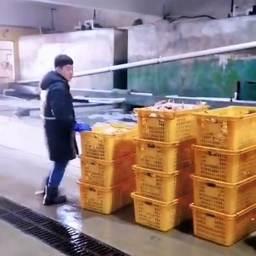 Китай может стать еще дальше для российских рыбаков