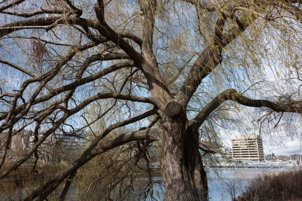 Примеры снимков на объектив Sigma 28-70mm F2.8 DG DN