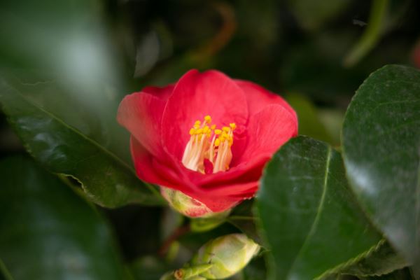 Примеры снимков на объектив Sigma 28-70mm F2.8 DG DN